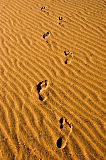 footprints-in-sand1.jpg Hosting at Sudaneseonline.com