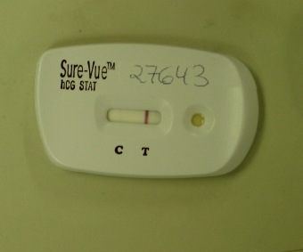 Negative_Pregnancy_Test.jpg Hosting at Sudaneseonline.com