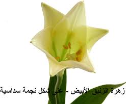 images107.jpg Hosting at Sudaneseonline.com