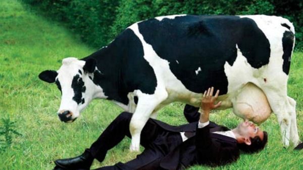 Dont-drink-cows-milk.jpg Hosting at Sudaneseonline.com