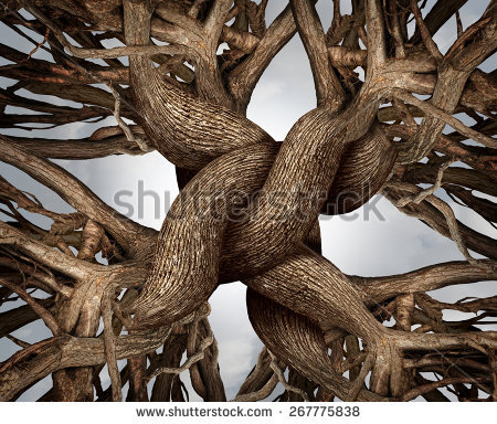 stock-photo-unity-symbol-as-an-eternal-knot-of-trust-made-from-the-roots-and-trunks-of-growing-trees-as-a-267775838.jpg Hosting at Sudaneseonline.com