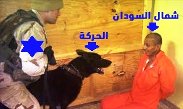 zzzns36.jpg Hosting at Sudaneseonline.com